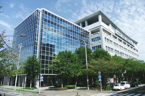 Письмо № 114, *из Университета Токио Метрополитен*