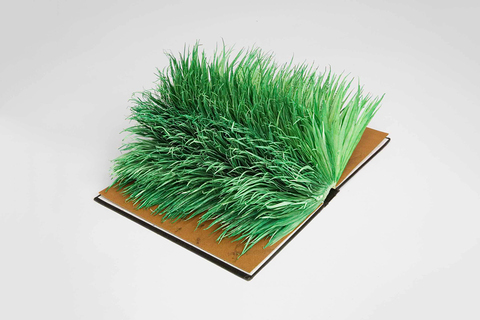 8 необычных диссертаций из фонда Ленинки: *Путин и плагиат, фанерный альбом и образы Сталина*