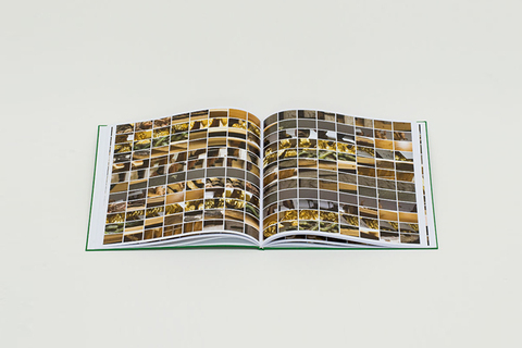 20 важных книг об искусстве: *Сонтаг, Беньямин и Делез в библиотеке Bookmate*