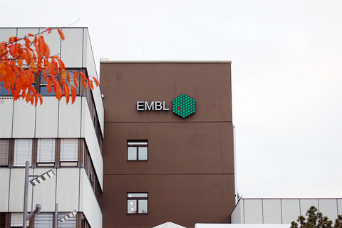 Письмо № 115, *из молекулярно-биологической лаборатории в Гейдельберге* Письмо № 115, *из молекулярно-биологической лаборатории в Гейдельберге*