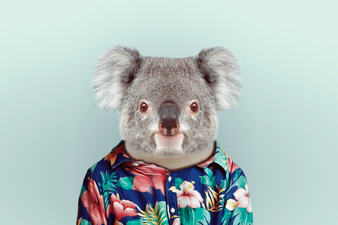 Альтруистичный ген: почему доброта свойственна не только человеку Альтруистичный ген: почему доброта свойственна не только человеку