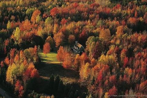 Вперед к природе, или жизнь после города