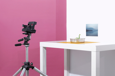 Фолк-хистори, единороги и плоская Земля: *11 популярных псевдонаук*