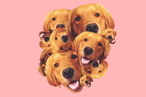 *«Эмоция — ключ к читателю»:* создатель BuzzFeed.com о секретах популярного контента *«Эмоция — ключ к читателю»:* создатель BuzzFeed.com о секретах популярного контента