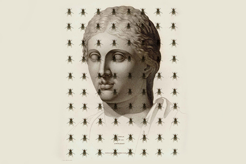 Наперекор современному миру: *новая книга британского историка Марка Сэджвика*