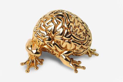 Золотой нейрон: *10 причин восхищаться своим мозгом* Золотой нейрон: *10 причин восхищаться своим мозгом*