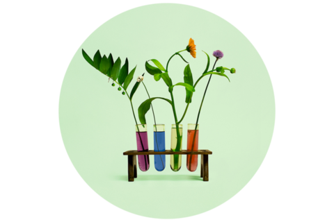 Лучшие гранты апреля: как стать куратором, стажироваться в Швейцарии или изучать землетрясения