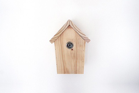 Тень сомнения: *авторский аудиогид по выставке об оптике подозрения и теориях заговора* Тень сомнения: *авторский аудиогид по выставке об оптике подозрения и теориях заговора*