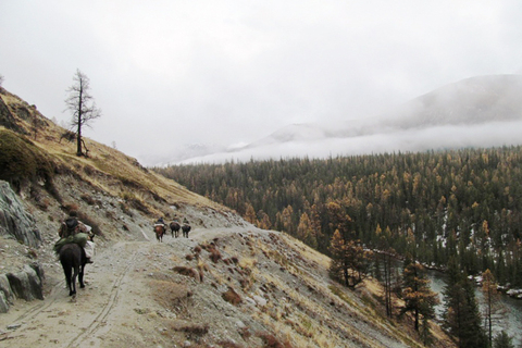 Счастье есть: *Дмитрий Васюков о том, где в России живут счастливые люди*