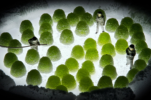 Радий всего святого: *краткая история питьевого золота* Радий всего святого: *краткая история питьевого золота*