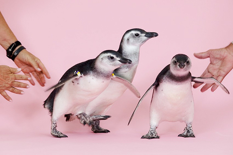 Нет времени объяснять: *30 вещей, которые нужно успеть сделать до конца света* Нет времени объяснять: *30 вещей, которые нужно успеть сделать до конца света*