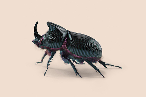 Премия «Просветитель»: *главные русскоязычные нон-фикшн книги года* Премия «Просветитель»: *главные русскоязычные нон-фикшн книги года*