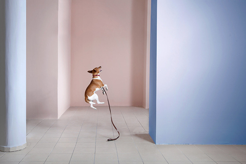 Без ответа: *10 явлений, которые ученые до сих пор не могут объяснить*