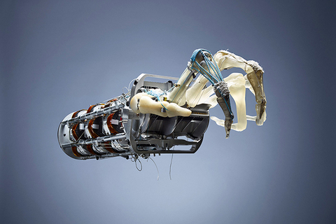 Восстание машин: *стоит ли бояться искусственного интеллекта*