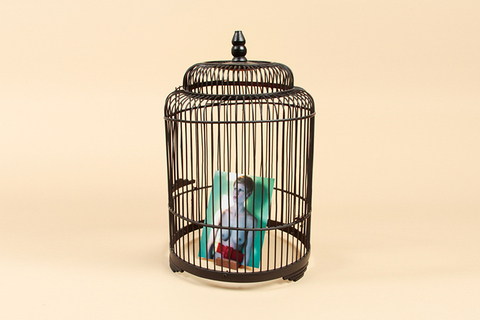 4 психологических ловушки: *что мешает нам выйти из дискомфортной ситуации*