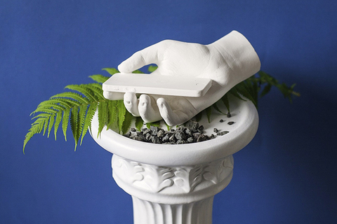 Классика жанра: *5 приложений для натуралиста, орнитолога и любителя бабочек*