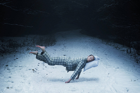 Полушария дельфина спят по очереди: *как появилась сомнология* Полушария дельфина спят по очереди: *как появилась сомнология*