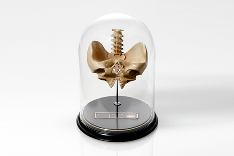 Что-то пошло не так: *5 самых редких генетических паталогий*