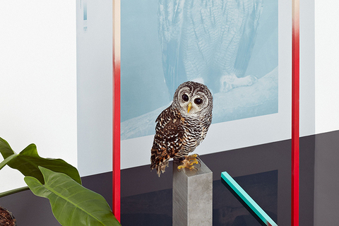 Марафон вымирания: *10 лучших лекций, прочитанных в галерее «Серпантин»*