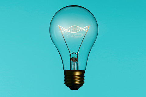 Константин Северинов: «Роль случая в современных биомедицинских исследованиях»