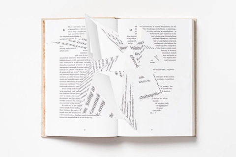 Читай между строк: *как комментарий к книге меняет ее содержание*