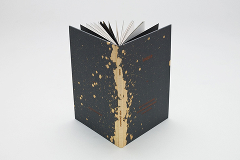 Герои одного романа: *кто из писателей лишь единожды отметился в жанре крупной прозы* Герои одного романа: *кто из писателей лишь единожды отметился в жанре крупной прозы*