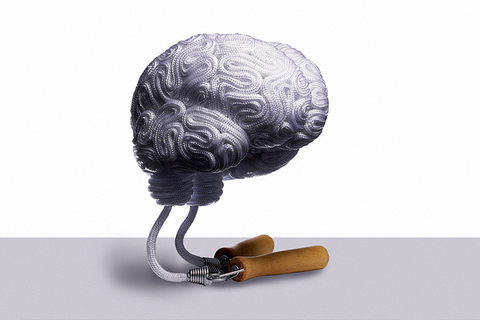 Жить с одним полушарием: *что такое пластичность мозга?* Жить с одним полушарием: *что такое пластичность мозга?*