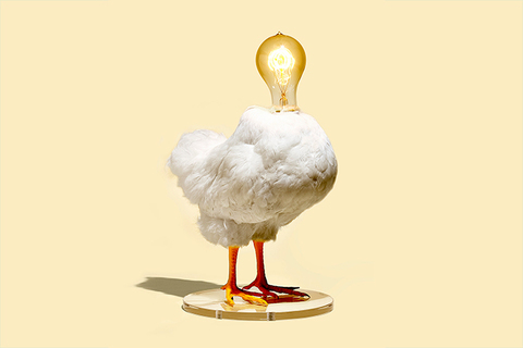 Кривая забывания: *как запомнить важную информацию или, наоборот, помешать другому это сделать* Кривая забывания: *как запомнить важную информацию или, наоборот, помешать другому это сделать*