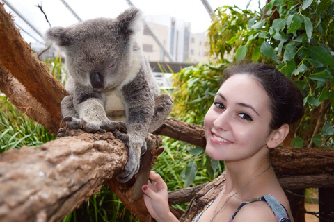 Письмо № 136, из магистратуры Сиднейского университета Письмо № 136, из магистратуры Сиднейского университета