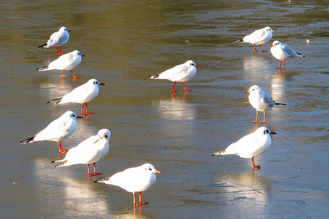 Письмо №137, из Университета Саутгемптона