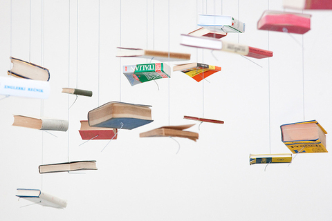 Игра слов: *чего боятся профессиональные переводчики*