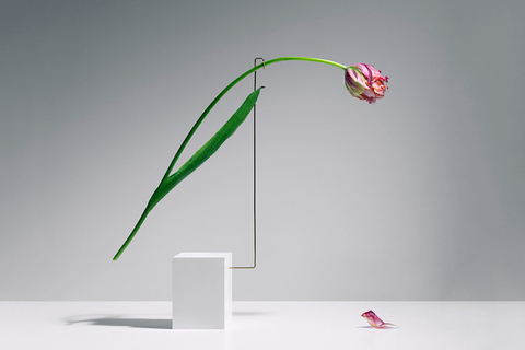 Четыре причины бытия: *как устроен мир в понимании Аристотеля*