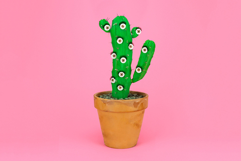 Восприимчивость в квадрате: *почему некоторые люди чувствуют тоньше других*