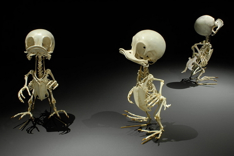 Утиные истории: *художник Хюнгко Ли о телесности мультипликационных персонажей*  