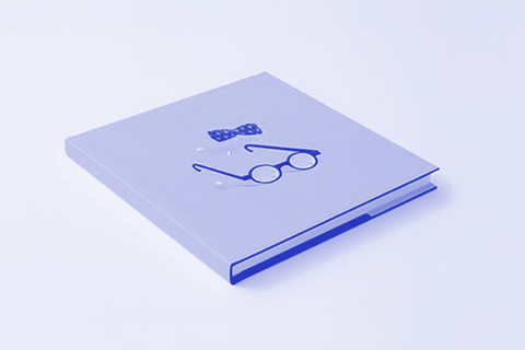 Про огород и про ветеринара: *как писать и издавать детские книги*