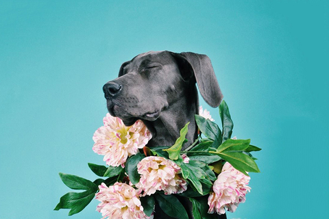 Обаяние как точная наука: *бывший агент ФБР объясняет, как понравиться окружающим*