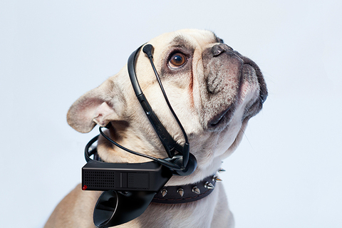 Майндфитнес: *8 гаджетов, которыми можно управлять силой мысли*