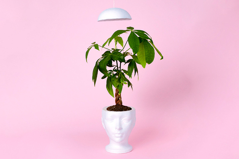 Елена Зеленцова: «Творческие индустрии как фактор личностного роста»