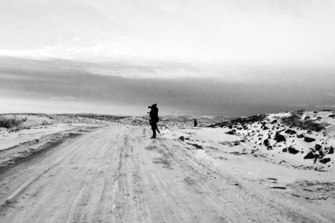 Переоcмысление природы: *создатель Critical Writing Academy об искусстве и «темной» экологии* Переоcмысление природы: *создатель Critical Writing Academy об искусстве и «темной» экологии*