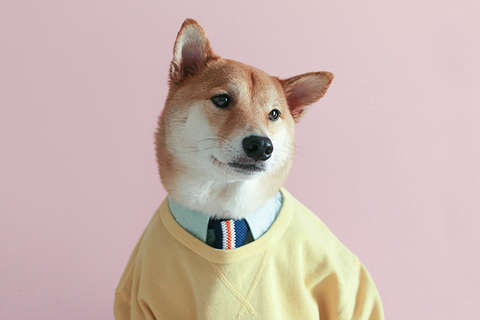 «Людьми движет желание принадлежать к сильному племени»: *как искать и удерживать талантливых сотрудников*