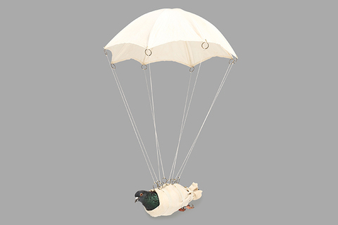 «Технологии заставляют нас заново узнавать, кто мы такие»: *Юанна Зилинска о биоэтике в эпоху новых медиа* «Технологии заставляют нас заново узнавать, кто мы такие»: *Юанна Зилинска о биоэтике в эпоху новых медиа*