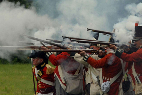 Выбор T&P: *9 интерактивных сайтов для изучения всего на свете*