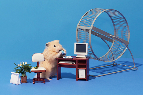 Быстрое чтение: *почему никого не волнует, насколько упорно вы работаете* Быстрое чтение: *почему никого не волнует, насколько упорно вы работаете*