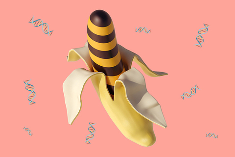 Просто о сложном: *ничего, что наша ДНК наполовину совпадает с ДНК банана?* Просто о сложном: *ничего, что наша ДНК наполовину совпадает с ДНК банана?*