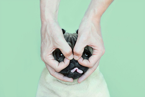 «Людям смешно, когда они видят, как тебе больно»: *в чем состоит искусство комика и как научиться шутить* «Людям смешно, когда они видят, как тебе больно»: *в чем состоит искусство комика и как научиться шутить*