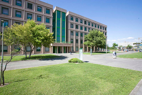 Письмо №142, из Римского университета Тор Вергата Письмо №142, из Римского университета Тор Вергата