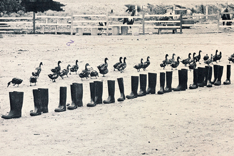 Спорная территория: *Сьюзан Лэйси о том, как писать о паблик-арте*