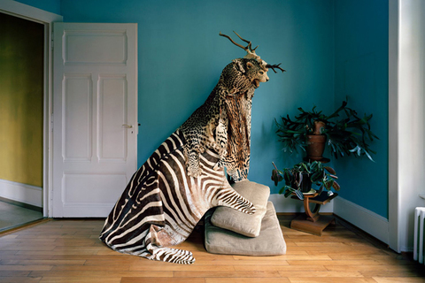 «Почему мы слепо верим простым объяснениям?»: *обозреватель New Yorker Энтони Готлиб об эволюционной психологии* «Почему мы слепо верим простым объяснениям?»: *обозреватель New Yorker Энтони Готлиб об эволюционной психологии*