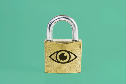 Контролируй меня: *как общественное мнение влияет на регулирование интернета*