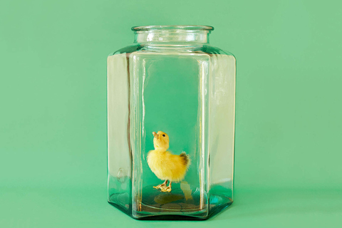 Здоровье по Дарвину: *почему медицина развивается, а мы болеем все чаще*